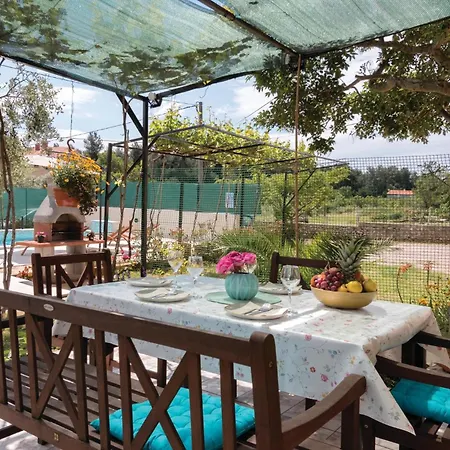 Cozy In With Kitchen Банджоле